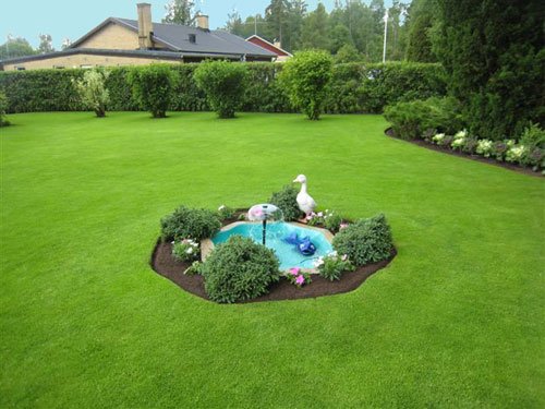 Grön av avundsjuka kan man lätt bli när man ser Olle Bergs gräsmatta. I närmare 40 år har han lyckats behålla sin matta stark, frisk och grön.