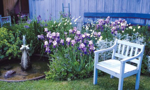 Låt dig inspireras av våra porträtt på blå blommor och skaffa dina drömmars blå rabatt  – nu är bästa tiden att plantera perenner!