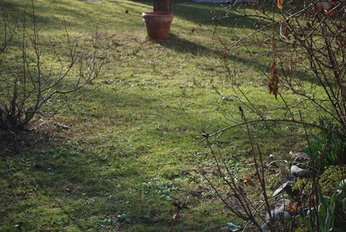 Våren är den blöta gräsmattans tid. Vad kan man göra när det plaskar så där förfärligt om fötterna? Finns det några tips som kan rädda gräsmattan från att vara en damm?