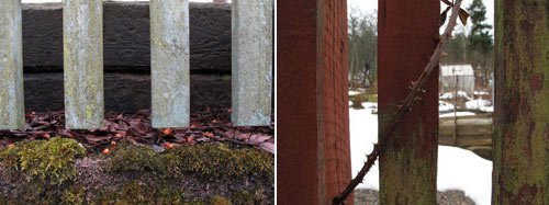 Tvätta fasaden – Bekämpa naturen naturligt - Vi i Villa