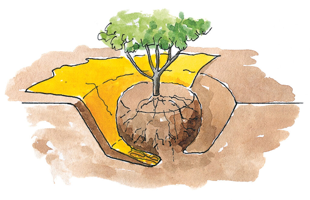 Flytta buskar – Skjut in säckväv