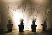 Hon är Sveriges bästa granne - Vi i Villa