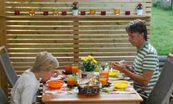 Så bygger du en snygg spaljé - Vi i Villa