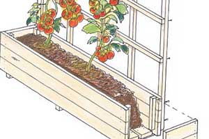 Så bygger du en snygg spaljé - Vi i Villa