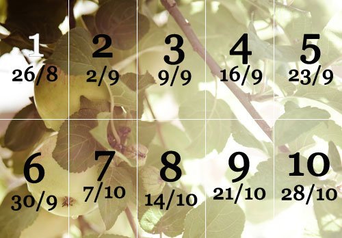 Här hittar du alla som har vunnit i Fredagsluckan hösten 2011 samt de rätta svaren.