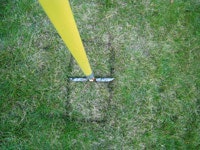 5  steg till snyggt gräs i vår - Vi i Villa