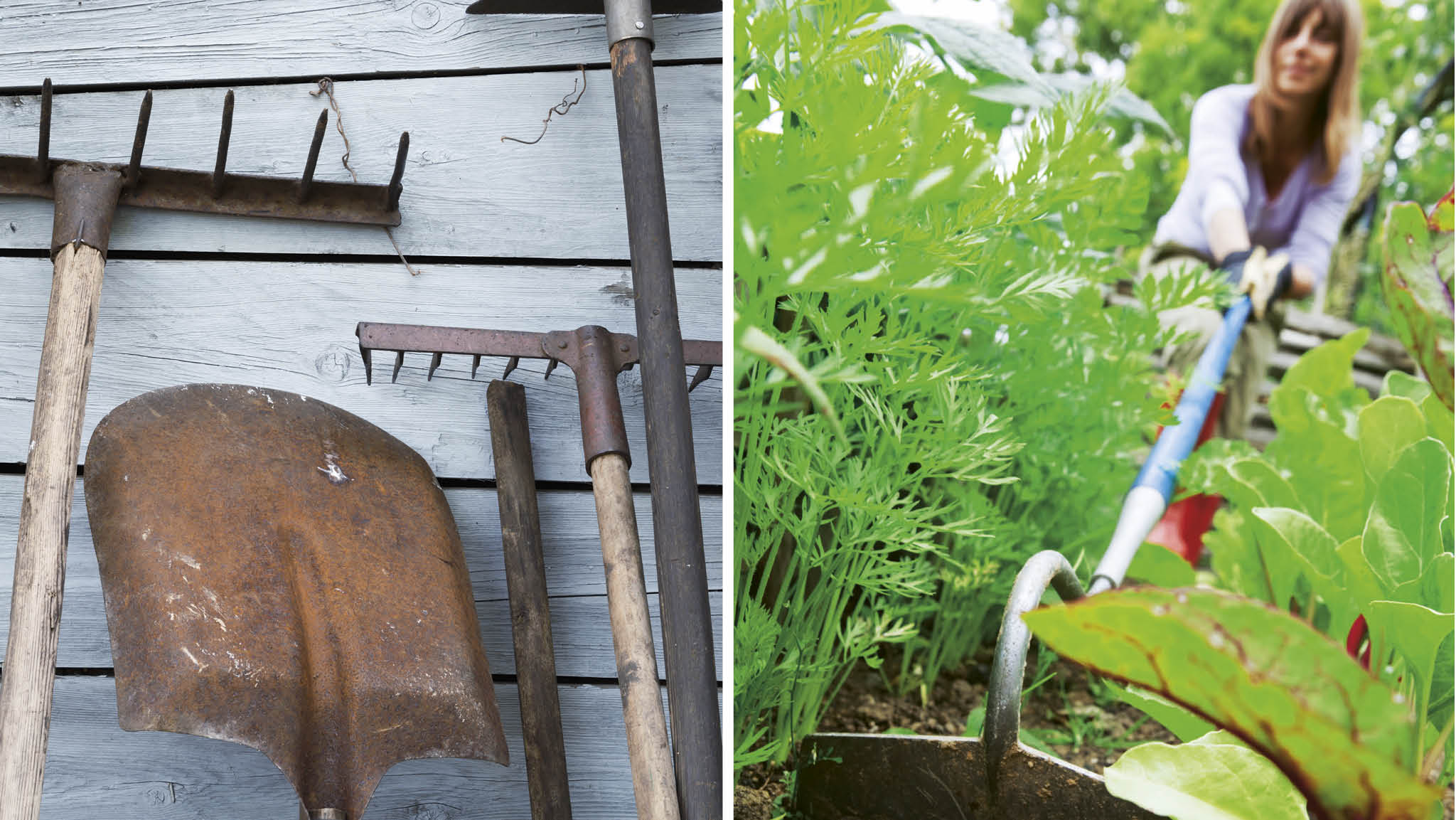 Så vårdar du trädgårdsredskapen och slipar spade och sekatör