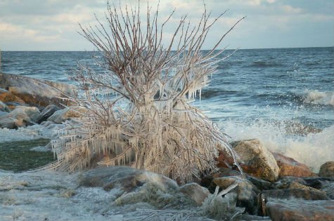 Även till vårvinterns fototävling Min bästa bild fick vi in över 300 bidrag. Juryn hade ett svårt jobba att välja favoriterna. Men nu är de tio bästa bilderna valda!
