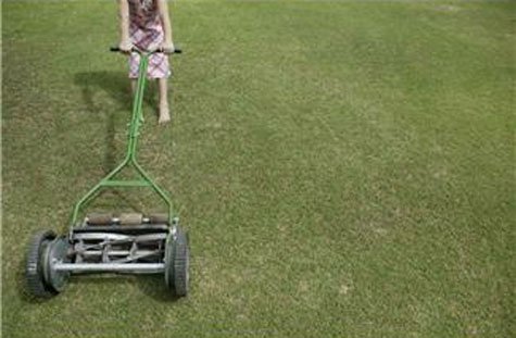 Nu är gräsklippningssäsongen igång och vill du klippa miljösmart finns nya alternativ.