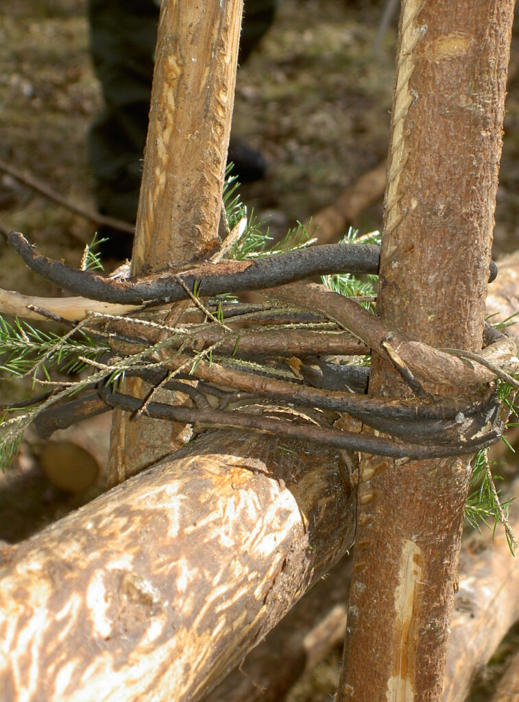 Knyt gärdslen med vidjor när du bygger gärdesgård