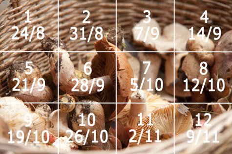 Här hittar du vinnarna i Fredagsluckan, hösten 2012!