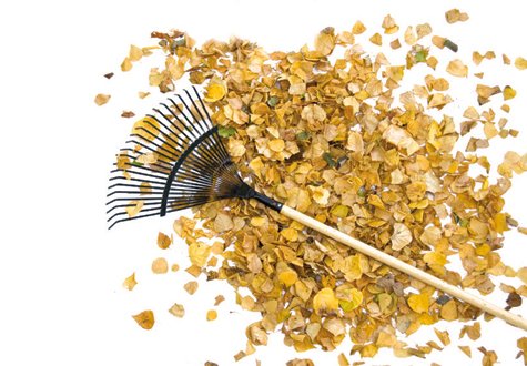 Hur gör trädgårdsproffsen själva med sina trädgårdar på hösten? Tre högaktuella författarprofiler delar med sig av sina bästa tips.