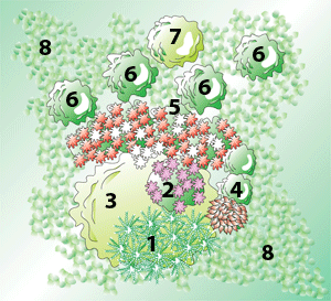 Glödande rabatt - Vi i Villa
