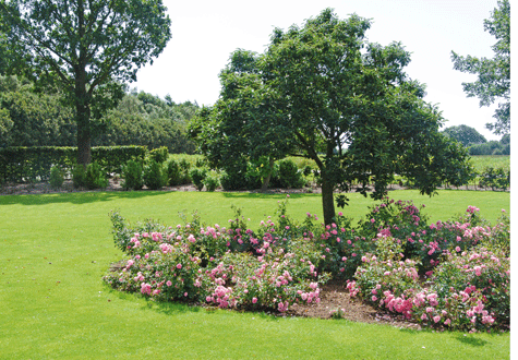 Vi guidar dig till den ultimata gräsblandningen just för din tomt och tipsar hur du sköter om gräset på bästa sätt.