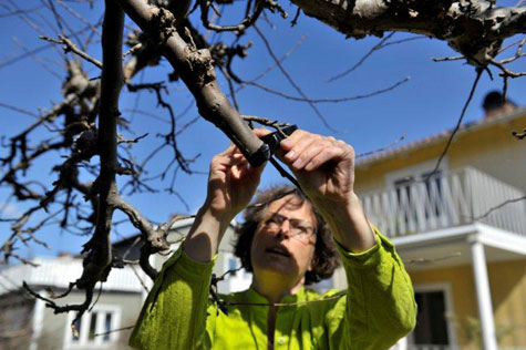 Våga ympa - Vi i Villa