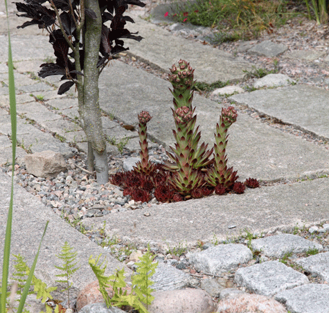 Snygga upp med sten - Vi i Villa