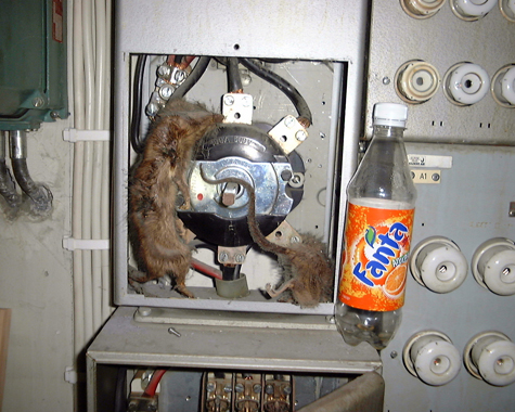 Täcker försäkringen fel orsakade av egenkopplad el? - Vi i Villa