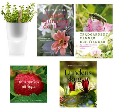 Här är vinnaren i Vi i Villas trädgårdsquiz ”Hur gröna fingrara har du?”