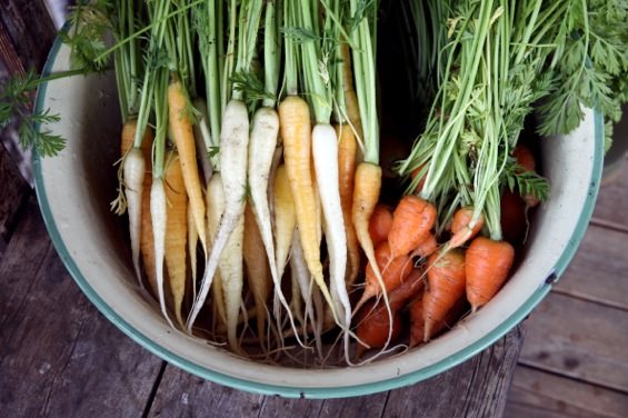 Växtligheten övergår nu i en ny, mustigare fas i en varm färgskala. Nu är det också dags att skörda det arbete som man har lagt ner tidigare i sommar.