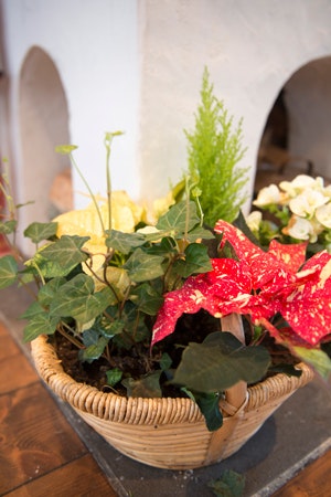 Julpyssel: Gör egna julgrupper – del 2 - Vi i Villa