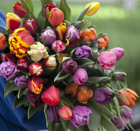 Vackra blomsterarrangemang - Vi i Villa