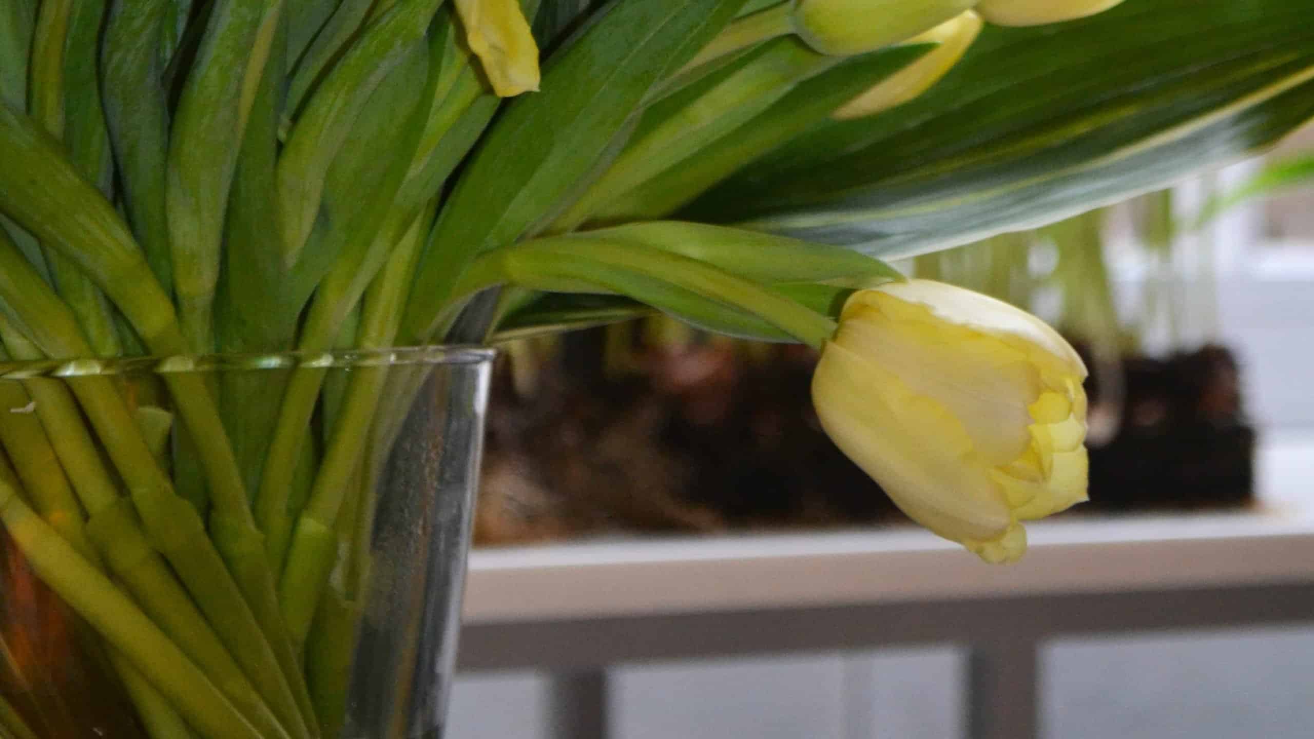 Låt plasten sitta kvar