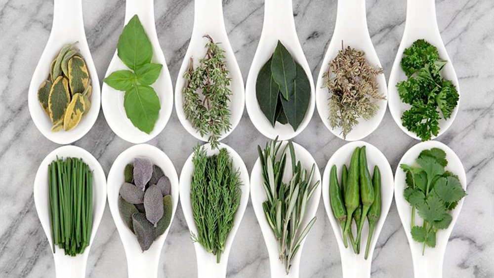 Ekotänk och klassiker som gör comeback  – här är de största trenderna för trädgårdsåret 2014.