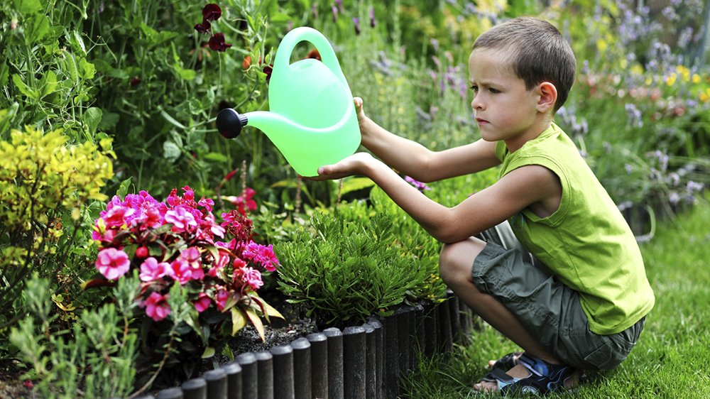 Trädgården är på topp under sommaren  – tills du åker på semester. Men med en del förberedelser kan du få blommorna att överleva även när du är borta.