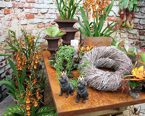 Gröna och nötta favoriter
Källa: Blomsterlandet