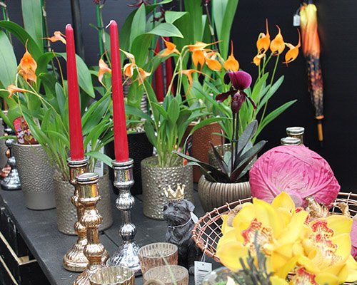 Glänsande höstvärme
Källa: Blomsterlandet