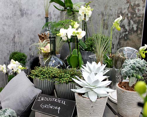 Industriell grönska
Källa: Blomsterlandet