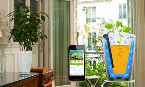 Välmående blommor utan gröna fingrar
 Smarta krukan Parrot Pot har inbyggda sensoner som känner av jordens fuktighet och hur mycket solljus din krukväxt får. Den innehåller en tvåliterstank med vatten som den sedan, efter noga mätningar och analyser som du kan se i din app, portionerar ut i rätt mängder när det behövs. När vattnet börjar ta slut går den in i sparläge tills du fyller på vatten, och det finns dessutom en variant som kan vattna dina blommor i upp till 3 veckor (Parrot H20). Lanseras under året.