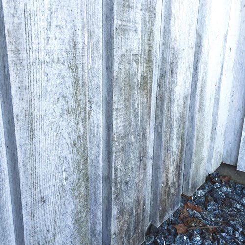 Björn Christiernsson tips för att bygga altan, tvätta fasad eller byta ytterdörr - Vi i Villa