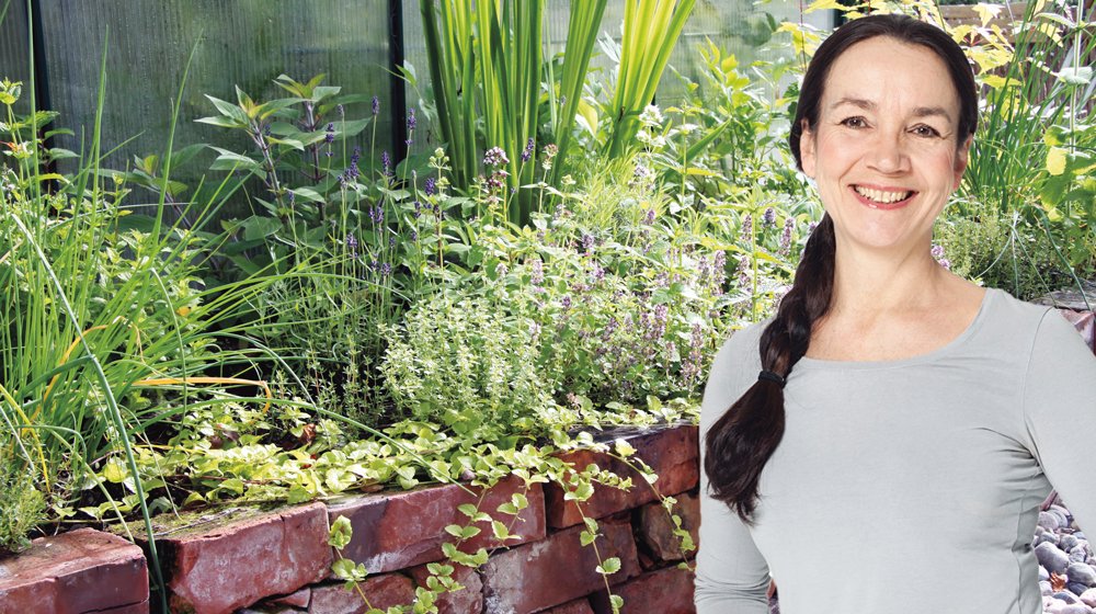 Skördetid för gröna blad och olika kryddväxter! Passa på att spara en bit av sommaren genom att torka kryddor. Perfekt till vinterns alla middagar!