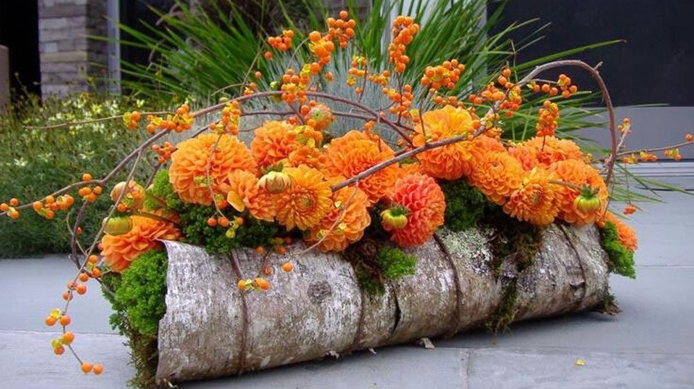 Är det dags att piffa till trädgården? Vi har samlat fina blomsterarrangemang för din höstträdgård  – som du kan göra själv.