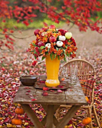 Höstblommor för din trädgård - Vi i Villa
