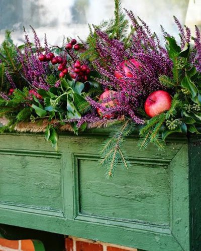 Höstblommor för din trädgård - Vi i Villa