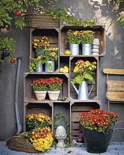 Höstblommor för din trädgård - Vi i Villa