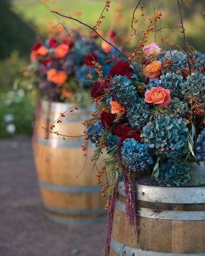 Höstblommor för din trädgård - Vi i Villa