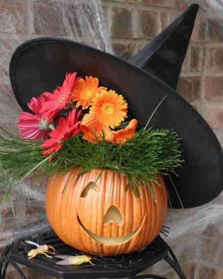 Höstblommor för din trädgård - Vi i Villa