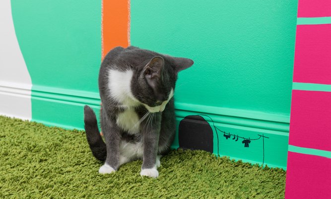 Kika in hos Isabelle McAllister – och få bästa inredningstipsen! - Vi i Villa