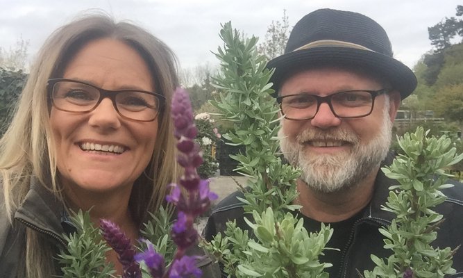 Bästa perenntipsen med Bosse Rappne och Hemmafixarna - Vi i Villa