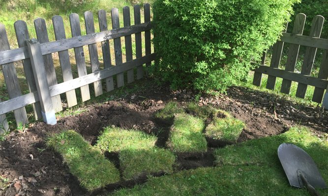 Bästa perenntipsen med Bosse Rappne och Hemmafixarna - Vi i Villa