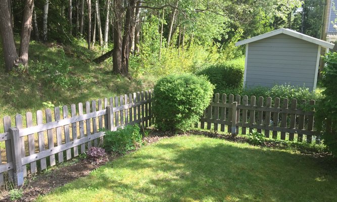 Bästa perenntipsen med Bosse Rappne och Hemmafixarna - Vi i Villa