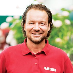 Så lyckas du med krukväxterna - Vi i Villa