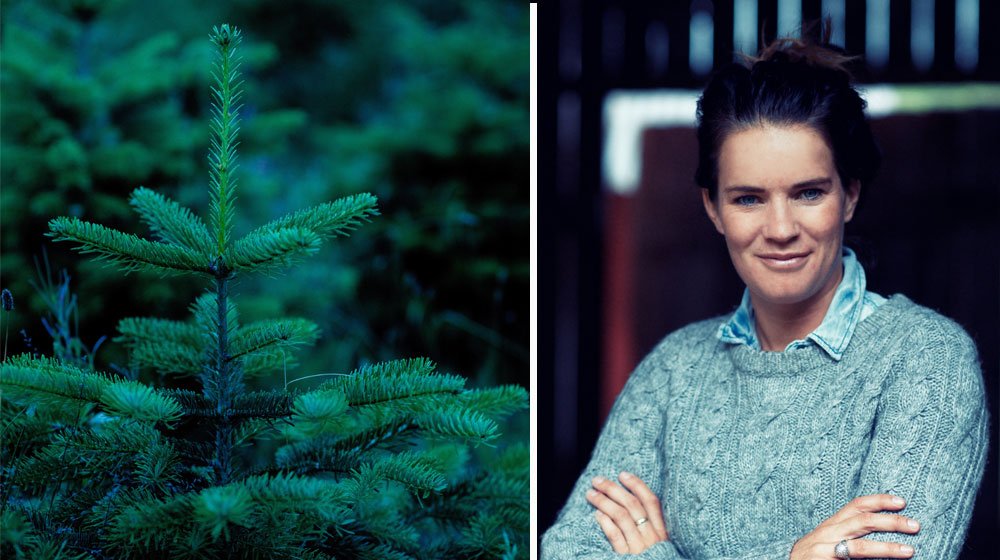 En julgran som barrar lite, en som doftar mycket eller kanske en mindre gran? Granproffset Anna Benson guidar till Sveriges vanligaste granar i jul.