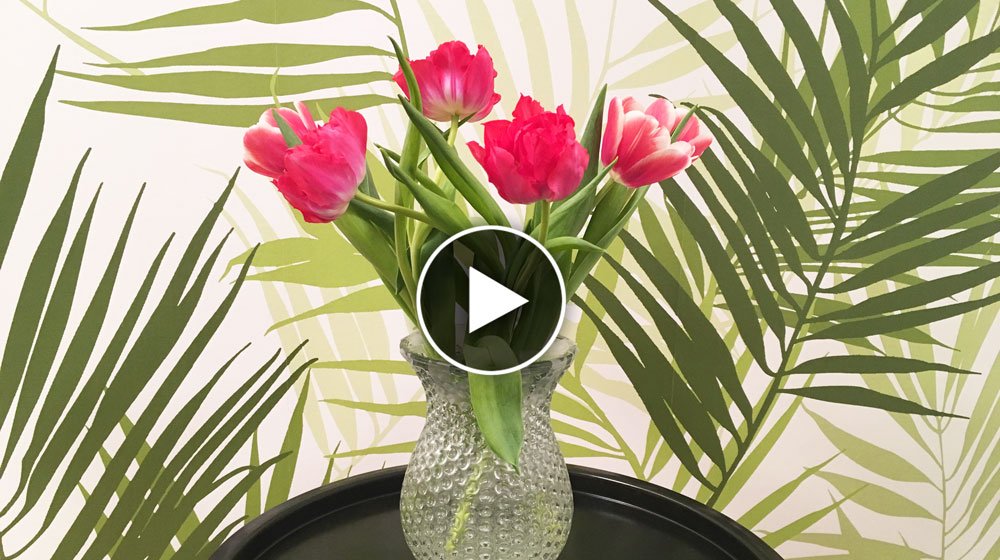 Är vasen för stor, så att blombuketten lutar? Här är knepet som gör att snittblommorna faller i en perfekt bukett!