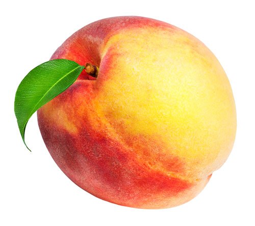 Här är växterna du ska odla i ditt växthus i sommar! - Vi i Villa