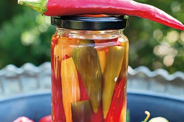 Picklad chili är både gott som det är eller som tillbehör till kött och vegetariska grytor. Här är ett enkelt recept från boken Chili  – 222 sorter att odla.
