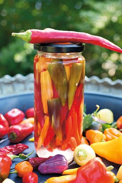 Recept: Picklad chili - Vi i Villa